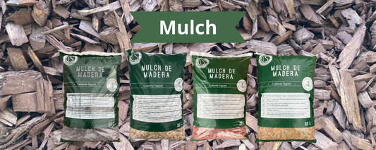 ¿Sabes qué es el Mulch?