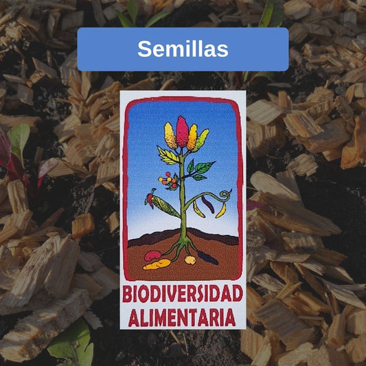Semillas Biodiversidad Alimentaria