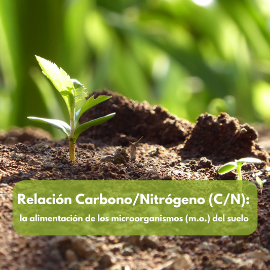 Relación Carbono Nitrógeno (C/N)