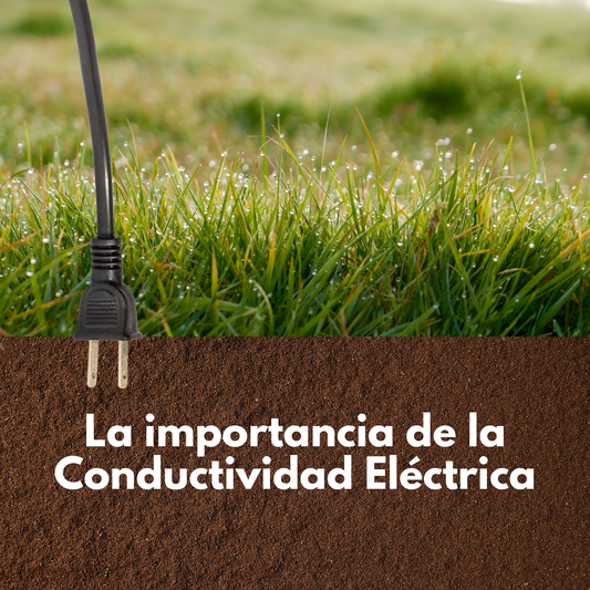 ¿Qué tan importante es la conductividad eléctrica?