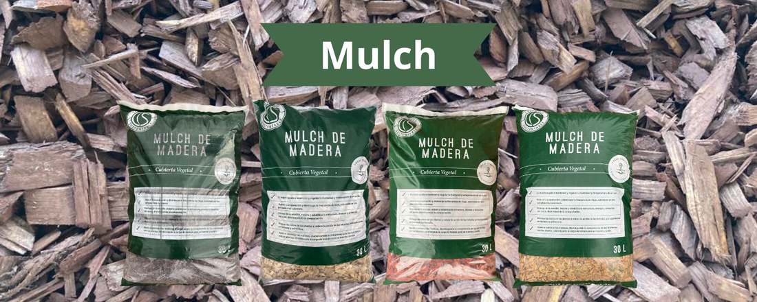 ¿Sabes qué es el Mulch?