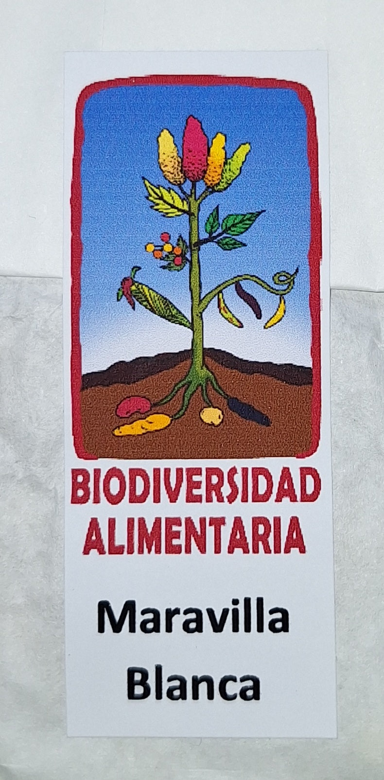 Semillas Biodiversidad Alimentaria
