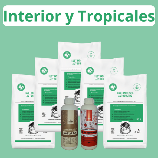 Pack Interior y Tropicales
